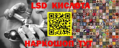 стафф Кандалакша