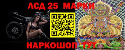 стафф Кандалакша